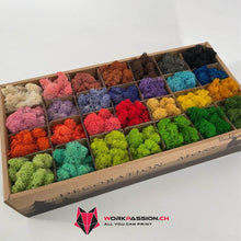 Carica l&#39;immagine nel visualizzatore di Gallery, Lichene stabilizzato in lastra adesiva (50X50cm) Premium - 0.25 m2 (1pz) / Altri colori - WORKPASSION