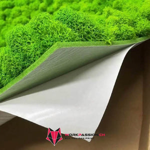 Lichene stabilizzato in lastra adesiva (50X50cm) Premium - WORKPASSION