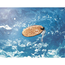 Carica l&#39;immagine nel visualizzatore di Gallery, BOAT - PREMI - Midocean - Key Rings / Chains /, Portachiavi In Sughero Mo6161, Premiums