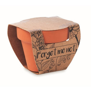 FORGET ME NOT - Legna - TEMPO LIBERO - Midocean - Leisure, Plant, Semi Di Non Ti Scordar Di Me Mo6146