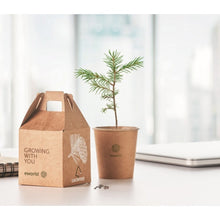 Carica l&#39;immagine nel visualizzatore di Gallery, GROWTREEÃ¢â€žÂ¢ - Beige - UFFICIO - Midocean - Desk Items, Office, Set In Legno Di Pino Mo6228
