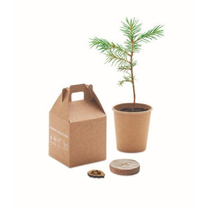 GROWTREEÃ¢â€žÂ¢ - Beige - UFFICIO - Midocean - Desk Items, Office, Set In Legno Di Pino Mo6228