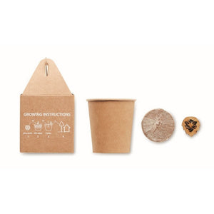 GROWTREEÃ¢â€žÂ¢ - Beige - UFFICIO - Midocean - Desk Items, Office, Set In Legno Di Pino Mo6228