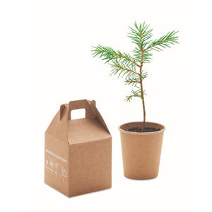 GROWTREEÃ¢â€žÂ¢ - Beige - UFFICIO - Midocean - Desk Items, Office, Set In Legno Di Pino Mo6228