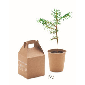 GROWTREEÃ¢â€žÂ¢ - Beige - UFFICIO - Midocean - Desk Items, Office, Set In Legno Di Pino Mo6228