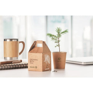 GROWTREEÃ¢â€žÂ¢ - Beige - UFFICIO - Midocean - Desk Items, Office, Set In Legno Di Pino Mo6228