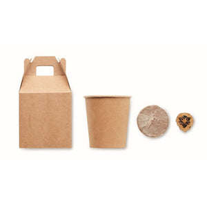 GROWTREEÃ¢â€žÂ¢ - Beige - UFFICIO - Midocean - Desk Items, Office, Set In Legno Di Pino Mo6228