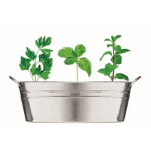 Carica l&#39;immagine nel visualizzatore di Gallery, MIX SEEDS - Argento opaco - TEMPO LIBERO - Midocean - Leisure, Plant, Vaschetta Con 3 Semi Di Erbe Mo6497