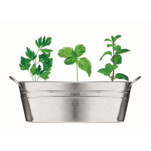 MIX SEEDS - Argento opaco - TEMPO LIBERO - Midocean - Leisure, Plant, Vaschetta Con 3 Semi Di Erbe Mo6497