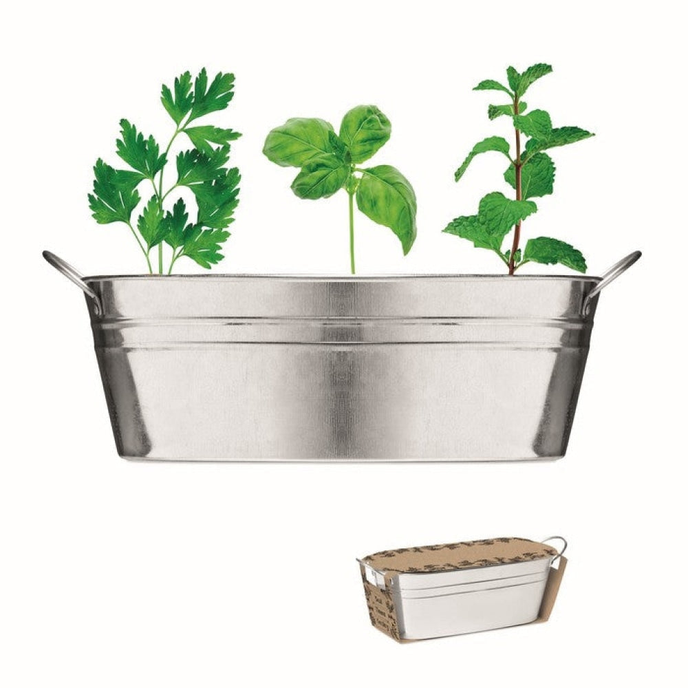 MIX SEEDS - Argento opaco - TEMPO LIBERO - Midocean - Leisure, Plant, Vaschetta Con 3 Semi Di Erbe Mo6497