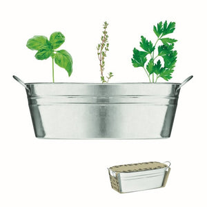 MIX SEEDS - Argento opaco - TEMPO LIBERO - Midocean - Leisure, Plant, Vaschetta Con 3 Semi Di Erbe Mo6497