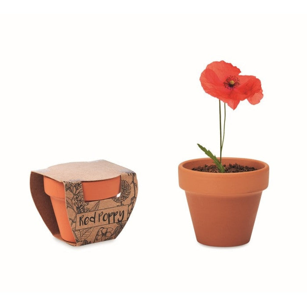 RED POPPY - Legna - TEMPO LIBERO - Midocean - Leisure, Plant, Semi Di Papavero Mo6148
