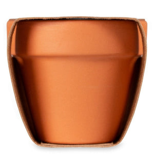 RED POPPY - Legna - TEMPO LIBERO - Midocean - Leisure, Plant, Semi Di Papavero Mo6148