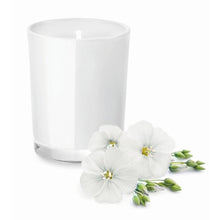 Carica l&#39;immagine nel visualizzatore di Gallery, SELIGHT - CASA E VIVERE - Midocean - Ambiente, Candela In Vetro Mo9030, Home &amp; Living