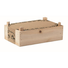 Carica l&#39;immagine nel visualizzatore di Gallery, STRAWBERRY - Legna - TEMPO LIBERO - Midocean - Kit Per Coltivare Fragole Mo6506, Leisure, Plant