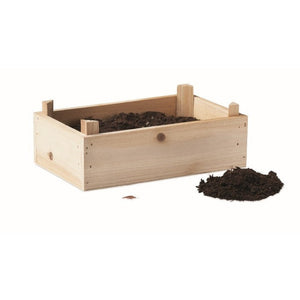 STRAWBERRY - Legna - TEMPO LIBERO - Midocean - Kit Per Coltivare Fragole Mo6506, Leisure, Plant
