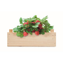 Carica l&#39;immagine nel visualizzatore di Gallery, STRAWBERRY - Legna - TEMPO LIBERO - Midocean - Kit Per Coltivare Fragole Mo6506, Leisure, Plant