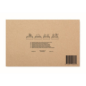 STRAWBERRY - Legna - TEMPO LIBERO - Midocean - Kit Per Coltivare Fragole Mo6506, Leisure, Plant