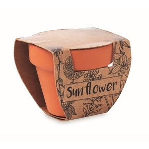 SUNFLOWER - Legna - TEMPO LIBERO - Midocean - Leisure, Plant, Semi Di Girasole Mo6147