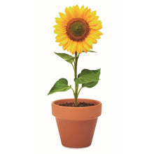Carica l&#39;immagine nel visualizzatore di Gallery, SUNFLOWER - Legna - TEMPO LIBERO - Midocean - Leisure, Plant, Semi Di Girasole Mo6147