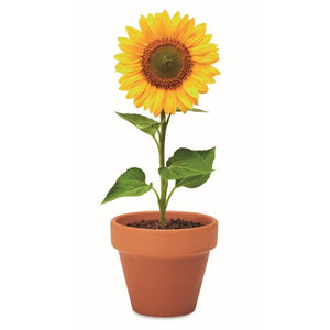 SUNFLOWER - Legna - TEMPO LIBERO - Midocean - Leisure, Plant, Semi Di Girasole Mo6147