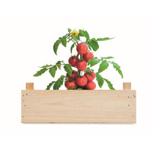 Carica l&#39;immagine nel visualizzatore di Gallery, TOMATO - Legna - TEMPO LIBERO - Midocean - Kit Di Semi Di Pomodor Mo6498, Leisure, Plant