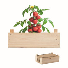 Carica l&#39;immagine nel visualizzatore di Gallery, TOMATO - Legna - TEMPO LIBERO - Midocean - Kit Di Semi Di Pomodor Mo6498, Leisure, Plant