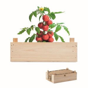 TOMATO - Legna - TEMPO LIBERO - Midocean - Kit Di Semi Di Pomodor Mo6498, Leisure, Plant